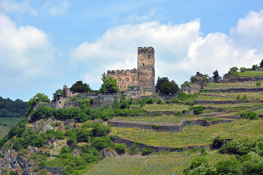 23 Burg Gutenfels (um 1220) : DSC_0050-k