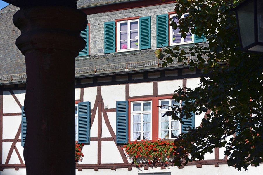 40 Burg; Burgmannenhof Löw zu Steinfurth DSC_0071-k